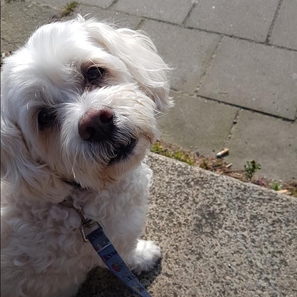 Meet your Posher, Megan - Picture 1 of 1